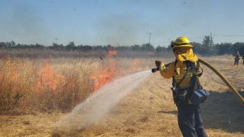 Firefighters participating in wildland fire training