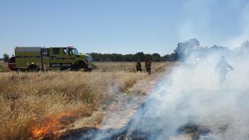 Firefighters participating in wildland fire training