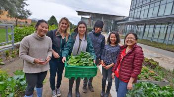 A group of six students hold a box full of lettuce, standing in the Good Life Garden at the Robert Mondavi Institute.