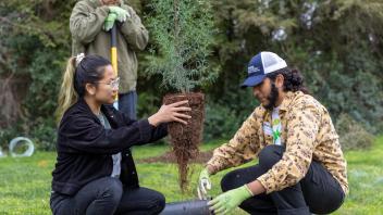 In the foreground, students squat, preparing to plant a sapling
