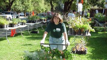 Smiling woman in apron pushing cart of potted plants at outdoor plant sale (photograph)