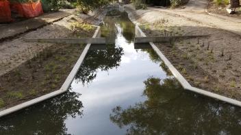 Water fills the newly constructed pathway at the Arboretum Waterway