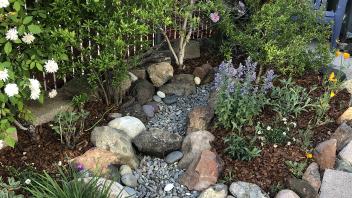 Tucker Backyard after renovation with rock and plant arrangement