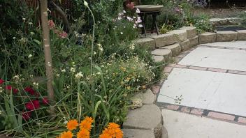 Tucker Backyard after renovation with tiling and plants and rock arrangement 