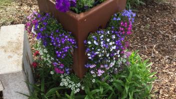 Pink, white and purple flowers in a planter