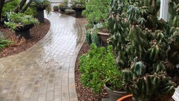 A winding brown brick path, lined with mulch and potted plants