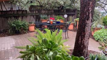 Garden featuring patio furniture and a dozen potted plants