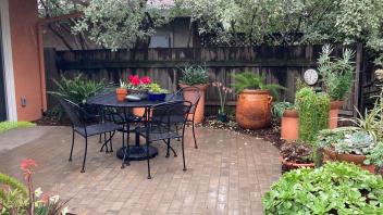 Garden featuring patio furniture and several terracotta potted plants