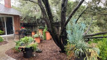 Brown brick pathway in a garden, lined with mulch and potted plants, leads to outdoor table and chairs 