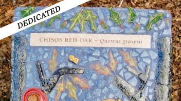 Chisos Red Oak plaque