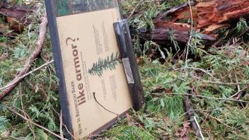 Fallen interpretive signage in the Redwood Grove