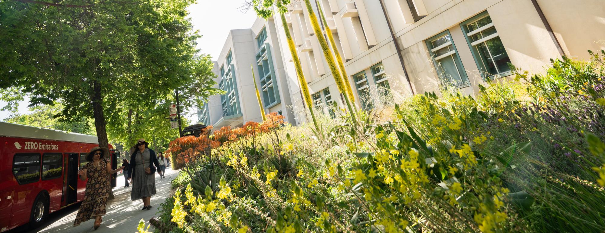 Two people walk along a sunlit sidewalk lined with flowering plants and trees, next to a modern building with geometric window designs. A red zero-emissions bus is parked on the street under the shade of green trees.