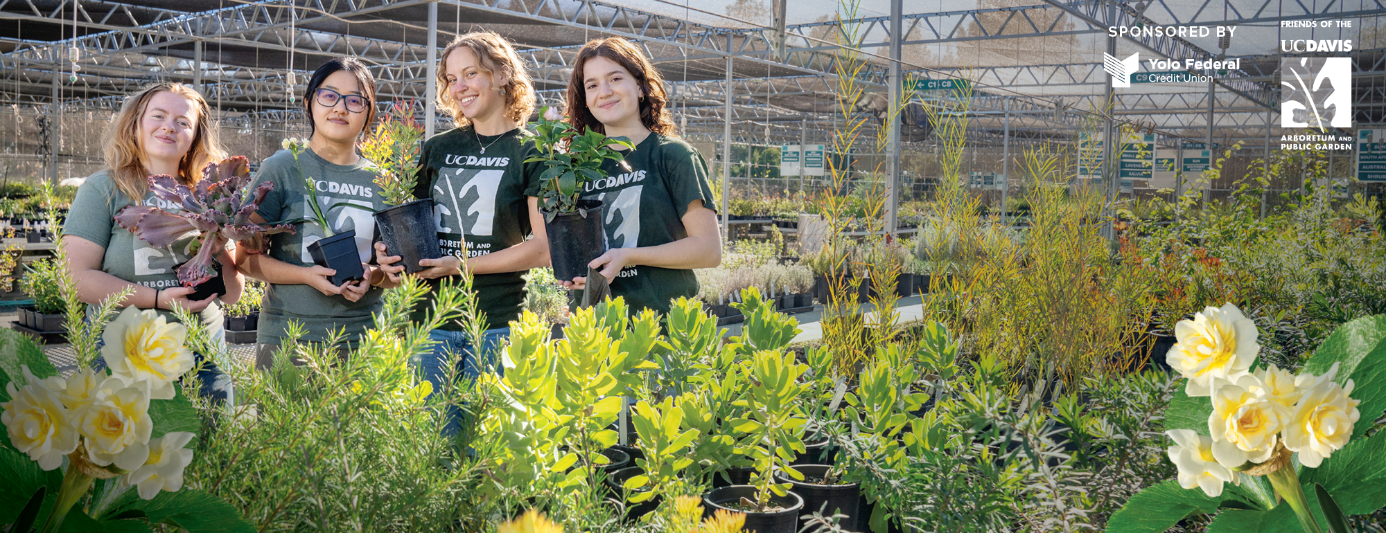 Image of four young women in UC Davis Arboretum and Public Garden green t-shirts holding plants and standing among a lush inventory of plants at the UC Davis Arboretum Teaching Nursery.