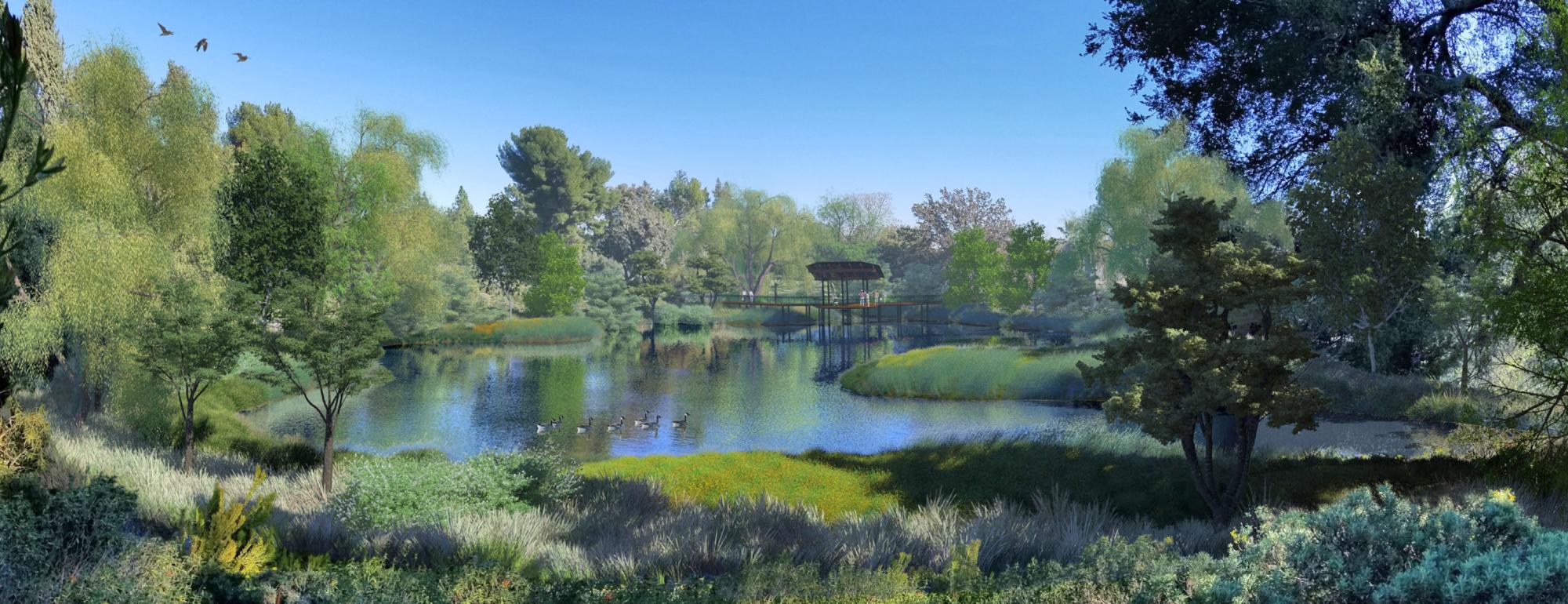 Photorealistic rendering of the future west-end of the UC Davis Arboretum Waterway with a viewing area for watching wildlife, Canadian geese in the water along with emergent marsh plantings, trees and perennial plantings.
