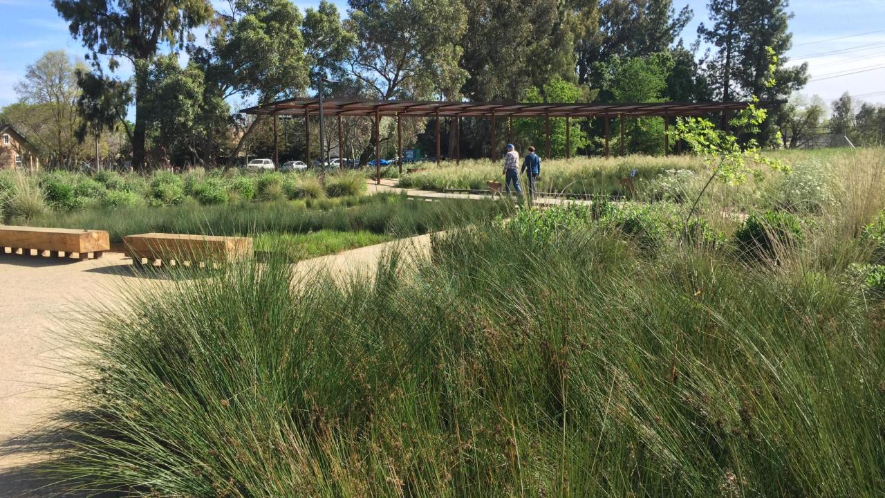 Arboretum GATEway Garden UC Davis Arboretum and Public Garden