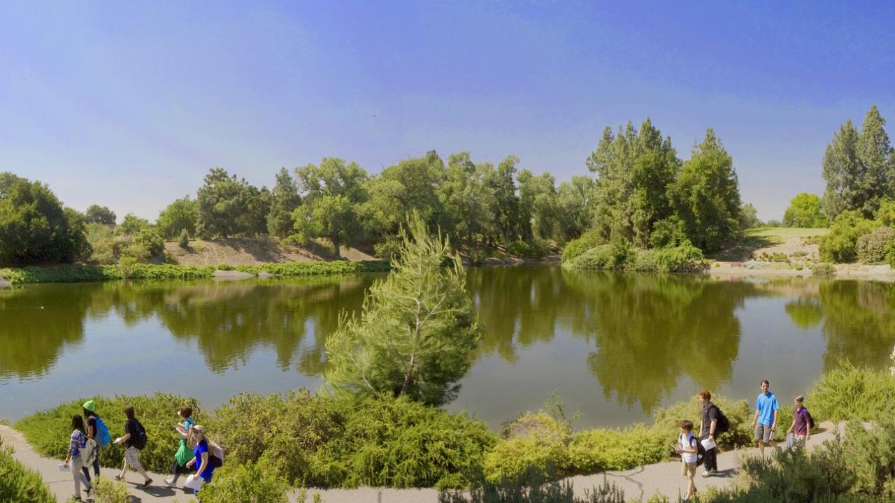 UC Davis Arboretum and Public Garden Visit and Explore