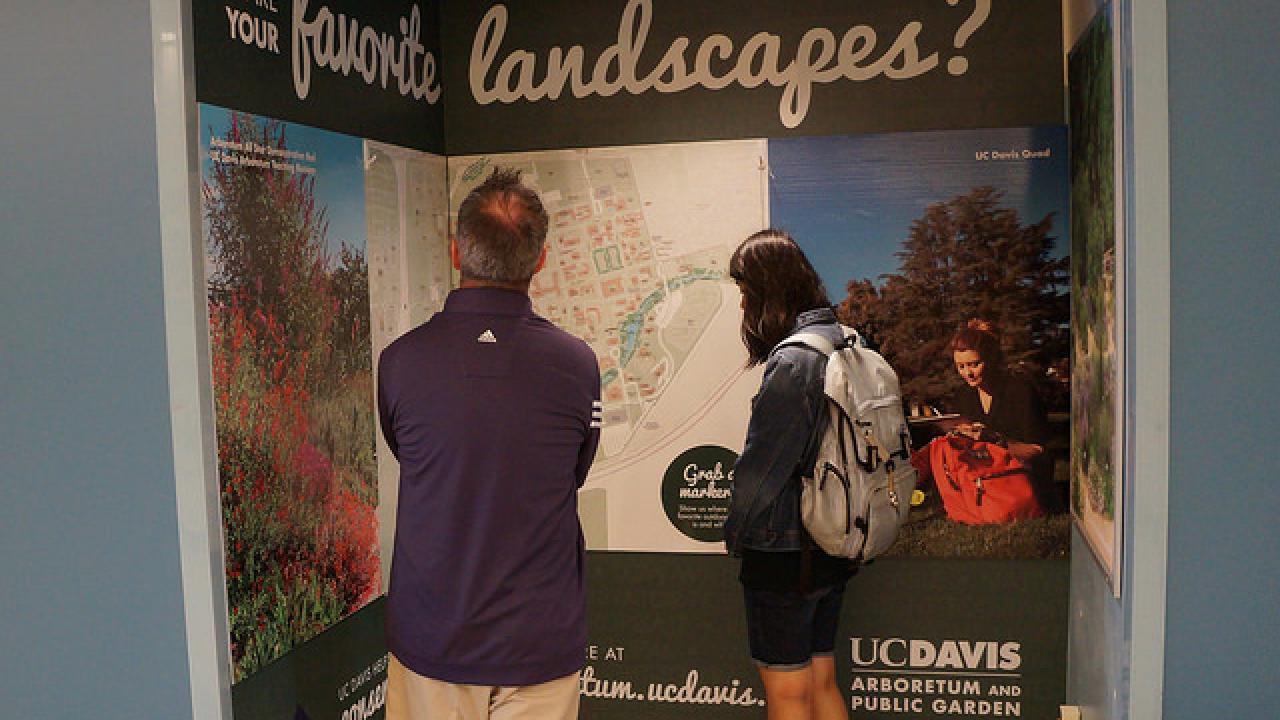 Two people looking at sustainability showcase