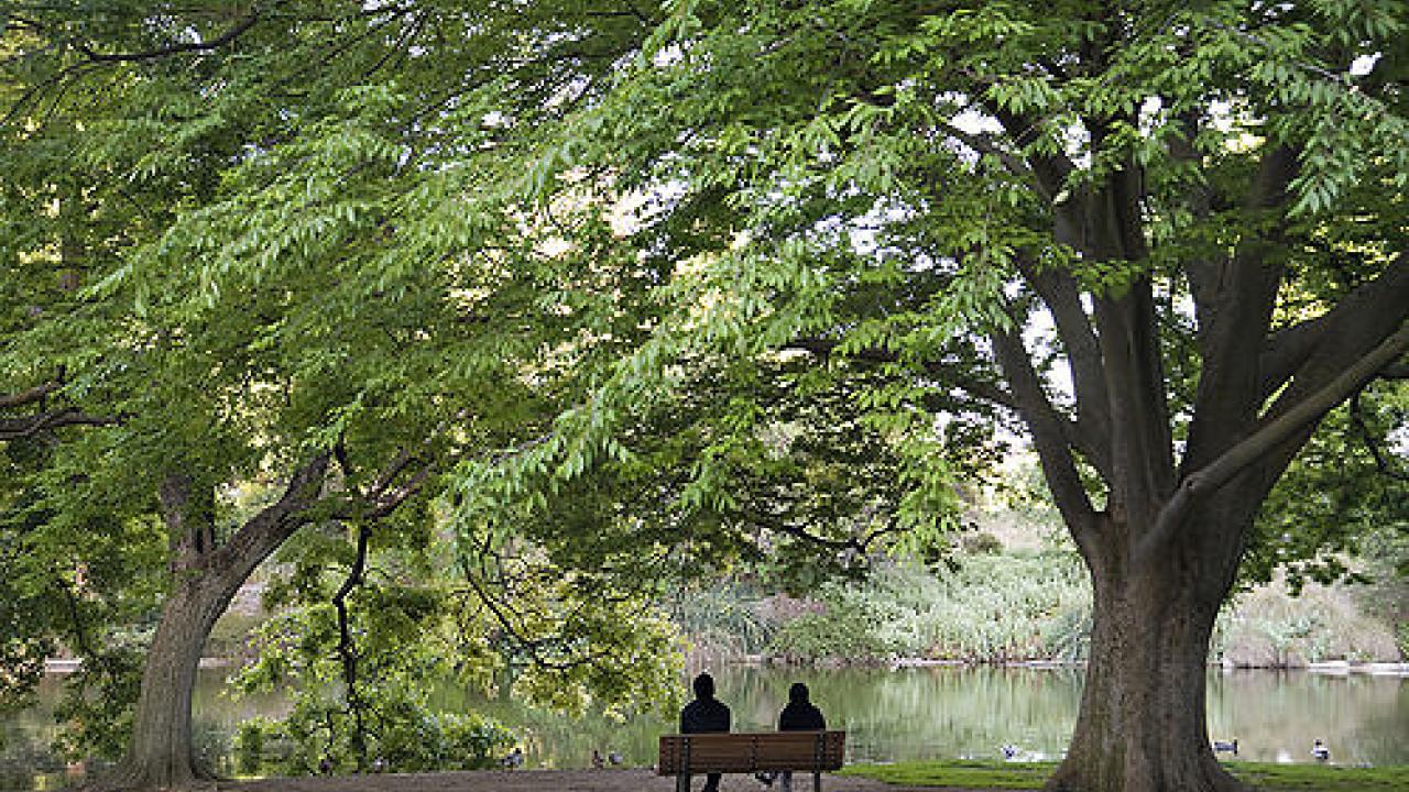 UC Davis Arboretum