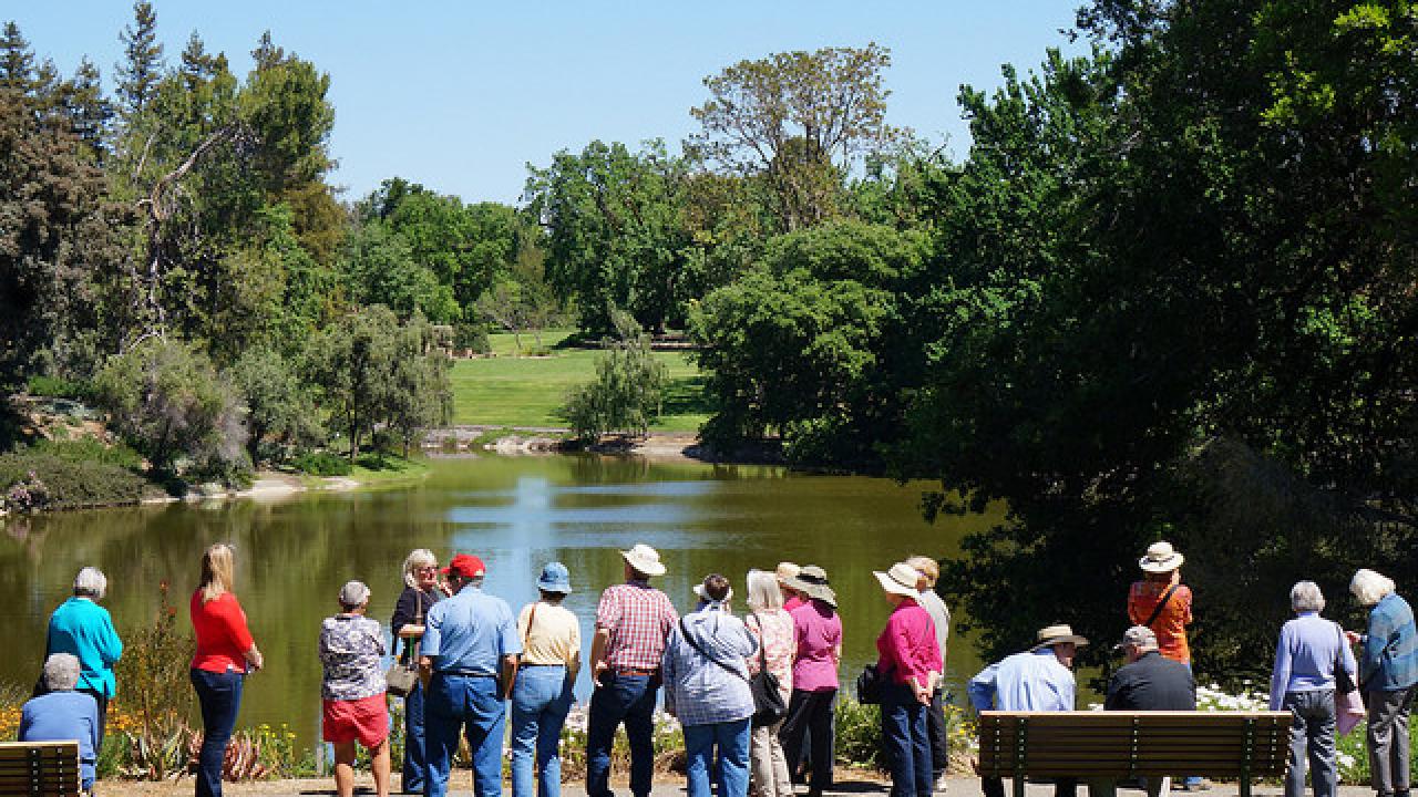 View of Lake Spafford