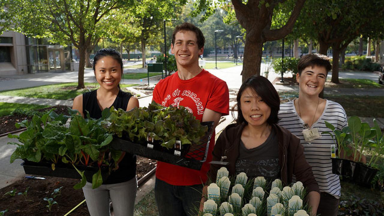 Cool season edible purchases support student interns