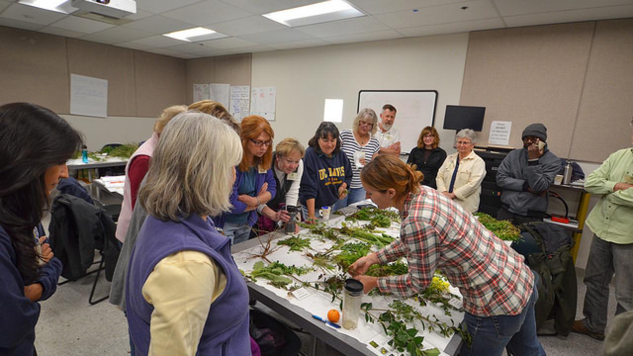 GATEways Horticulturist with the UC Davis Arboretum and Public Garden teaches new volunteers about the basics of weed identification and control. Volunteer training