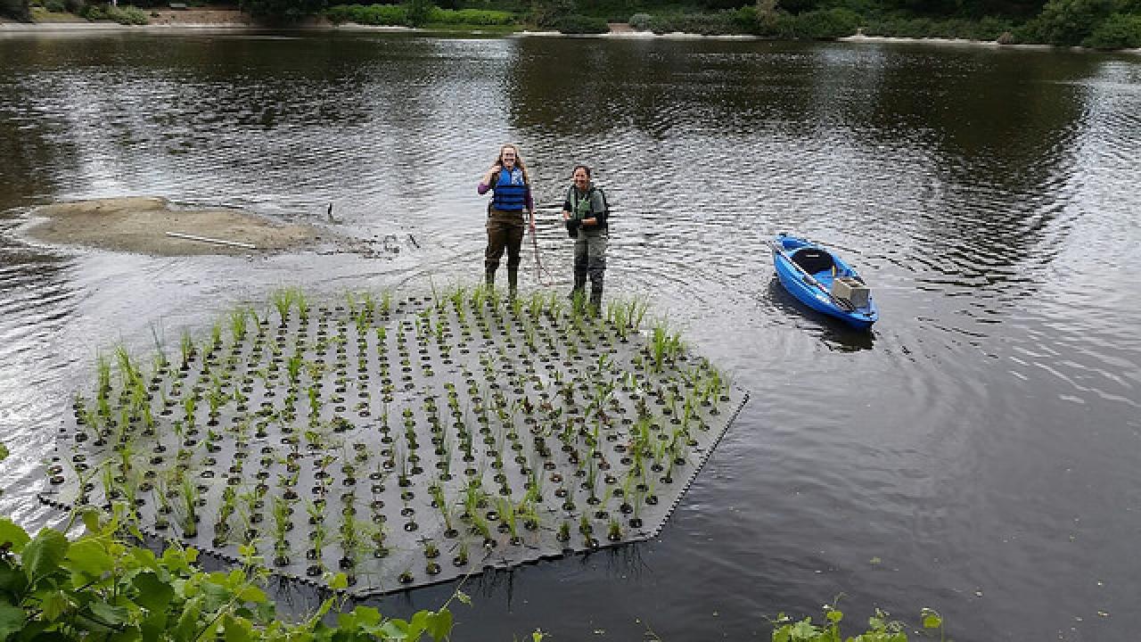 Waterway Steward Nina Suzuki and Student Co-coordinator Kendal Hicks