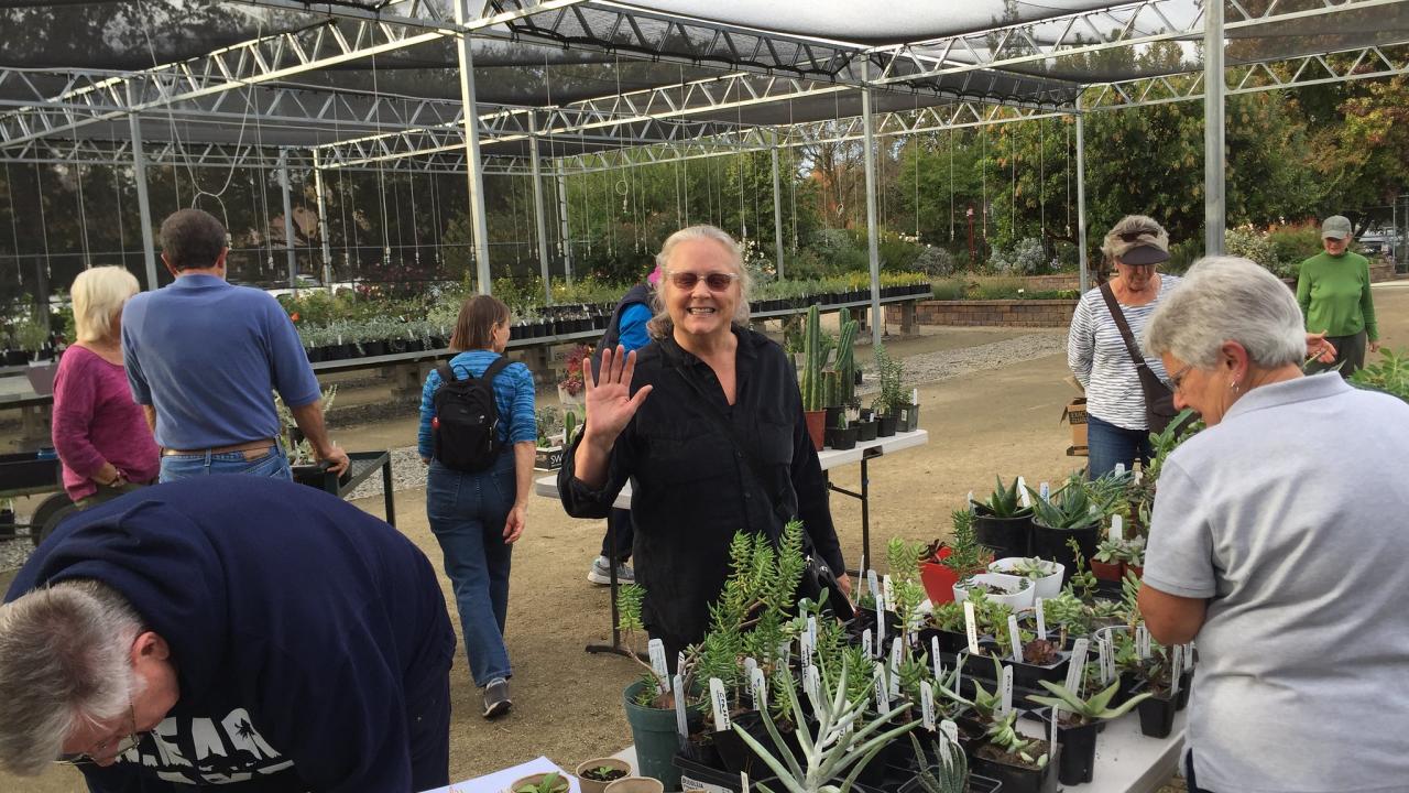 Image of the UC Davis Arboretum and Public Garden's Volunteer Plant Swap.