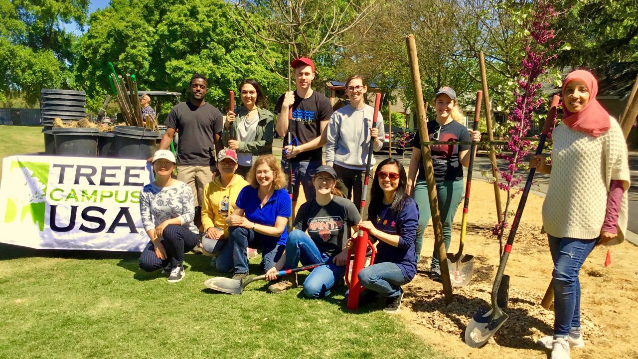 Students, faculty and staff participate in a tree planting event along the east side of campus as part of the UC-wide Cool Campus Challenge and to support our continued status in Tree Campus USA.