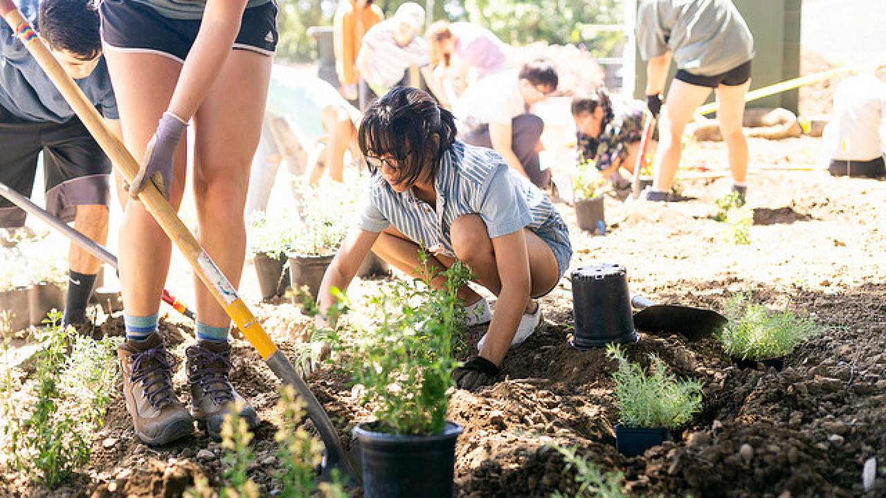 Image of Learning by Leading student landscaping.
