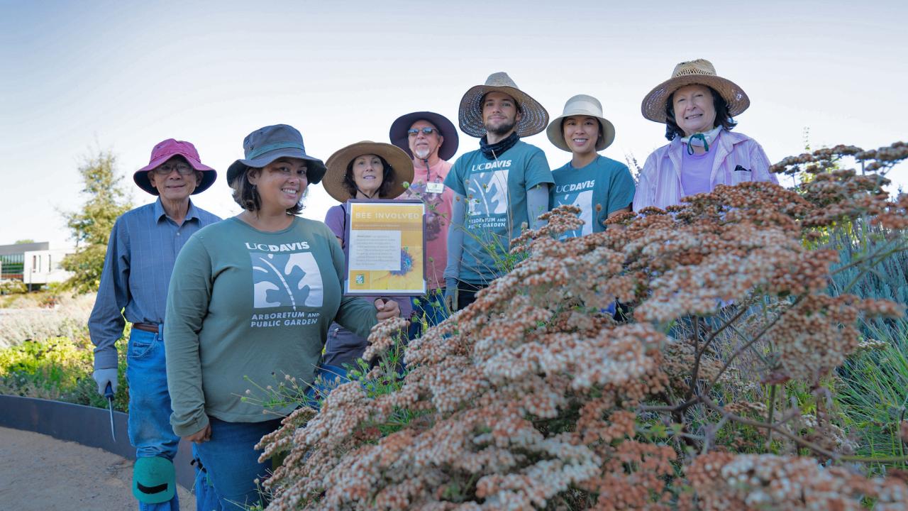 Image of volunteers and students in the pollinator garden.