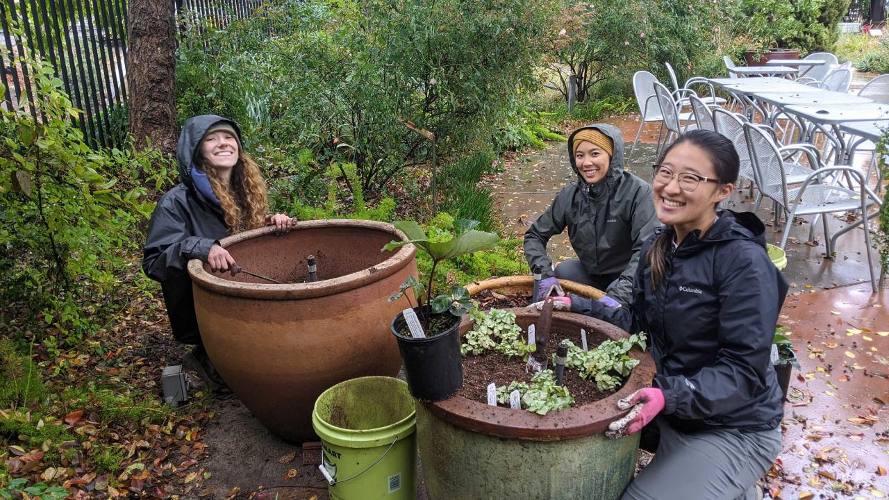 Image of Learning by Leading Habitat Horticulture interns planting pollinator-attracting containers. Their goal is to educate the public about how the smallest gardens can support pollinators.