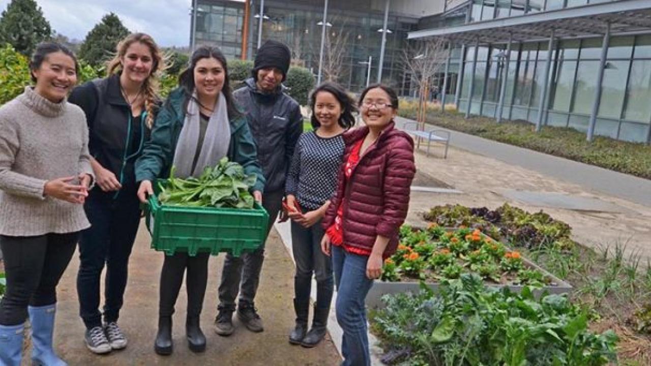Students harvest Good Life Garden for donation to The Pantry