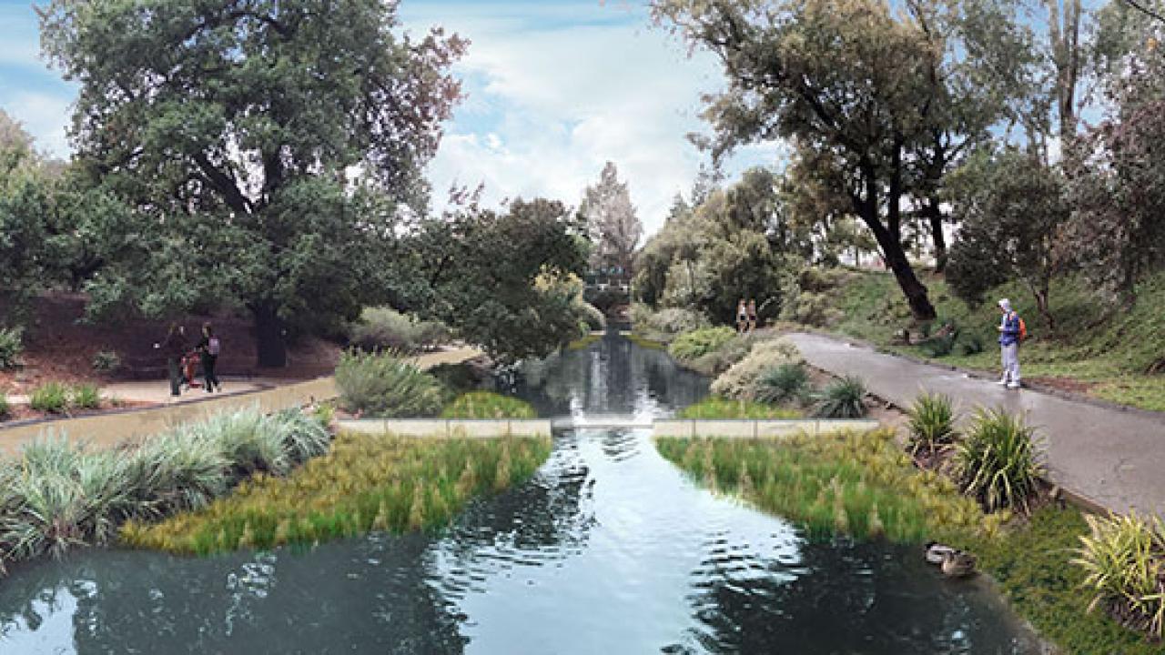 Photorealistic image of weirs along the east end of the Arboretum waterway