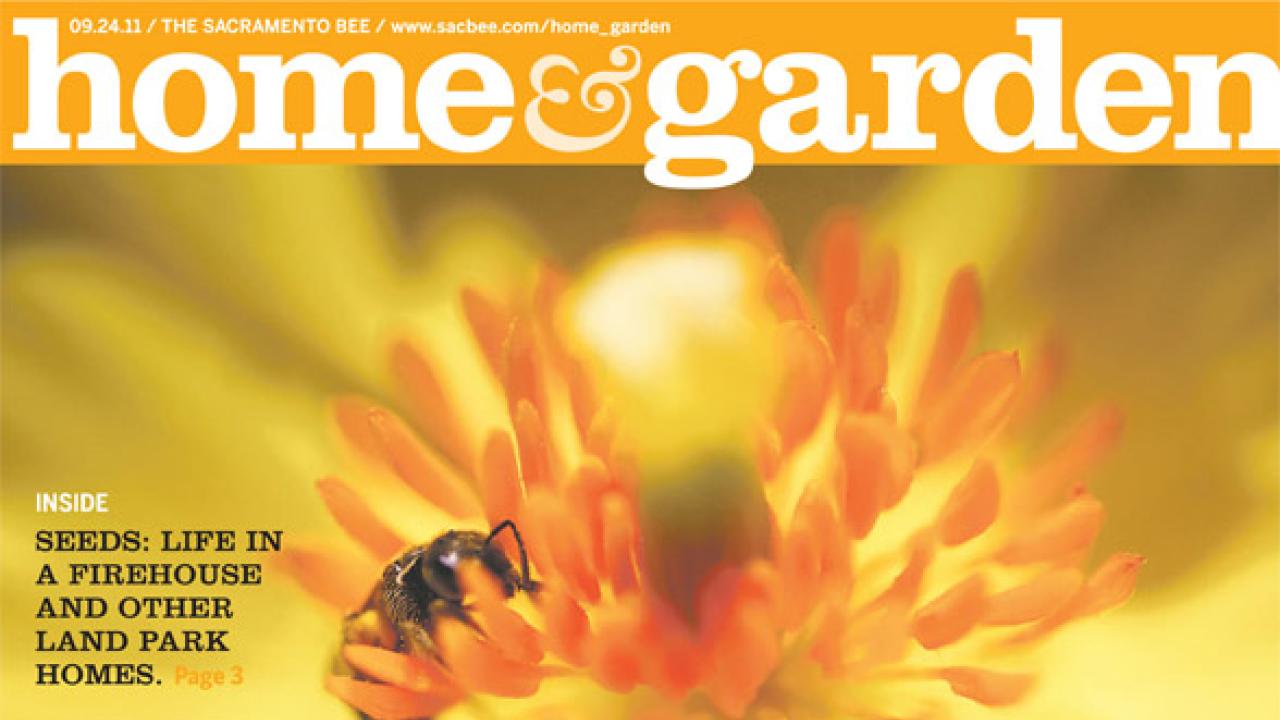 Sac Bee Home & Garden