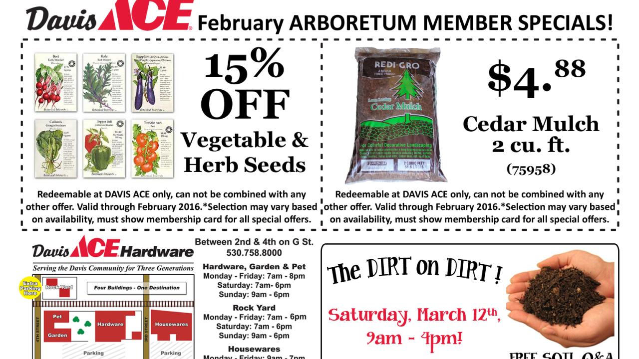 Davis Ace February specials