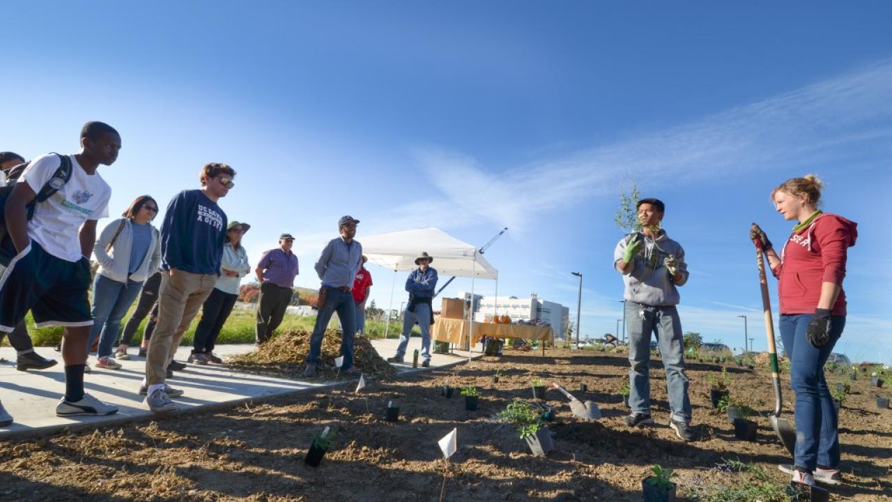 Sustainable Horticulture Student Coordinators Nguyen Nguyen and Kathy Geurtze teach a group of volunteers in proper planting techniques. This team helped landscape a new pollinator display garden in the west end of the Arboretum.