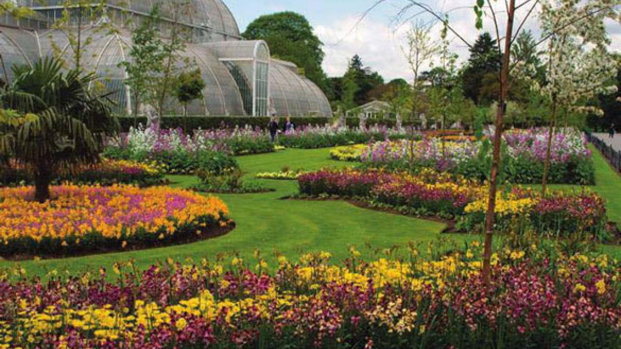 Palm House