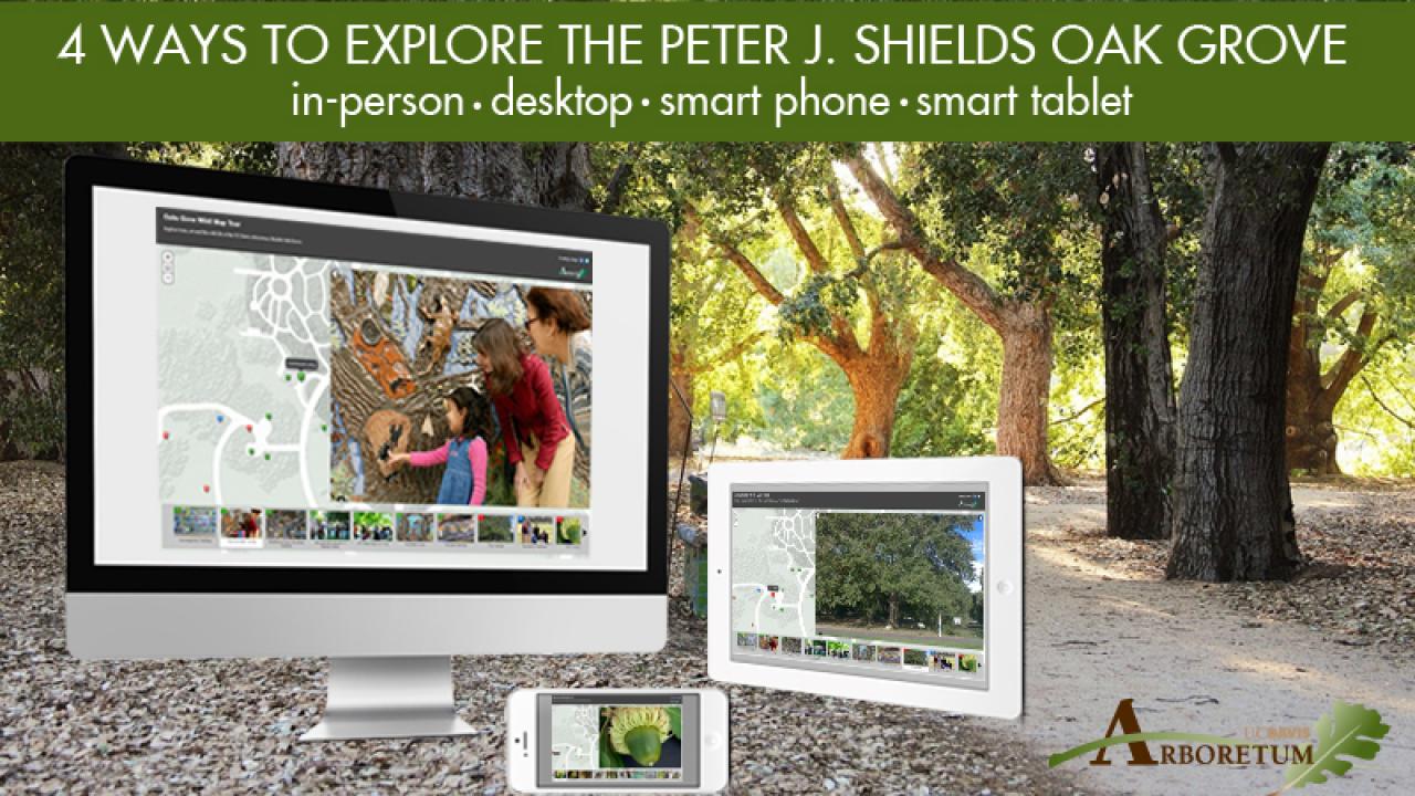 shields oak grove exploration tool