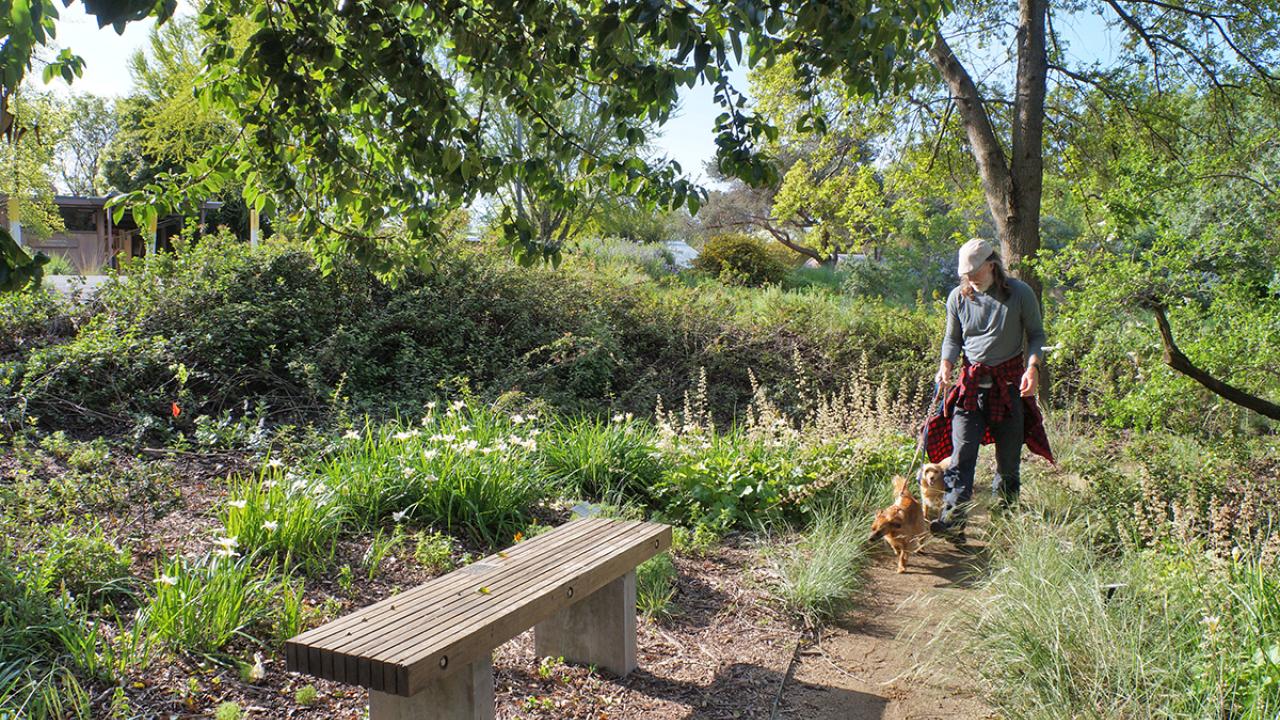 Patron in Arboretum practicing safe social distancing