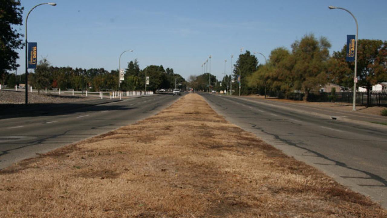 La Rue Road median