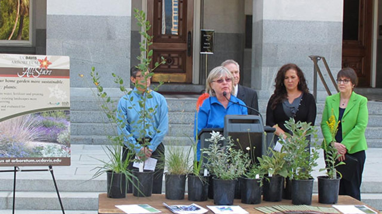 Ellen at a podium