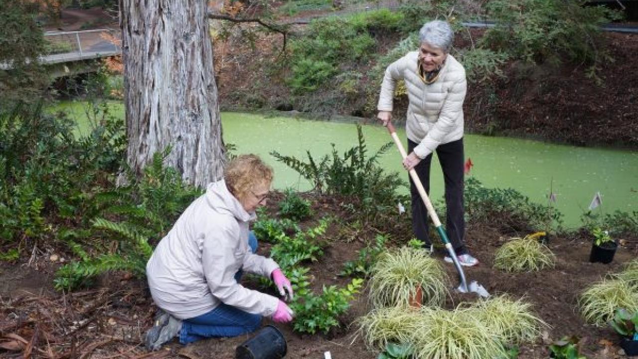 Arboretum volunteers planting