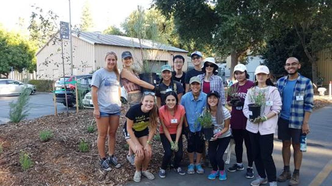 Image of students in the Learning by Leading Sustainable Horticulture program.