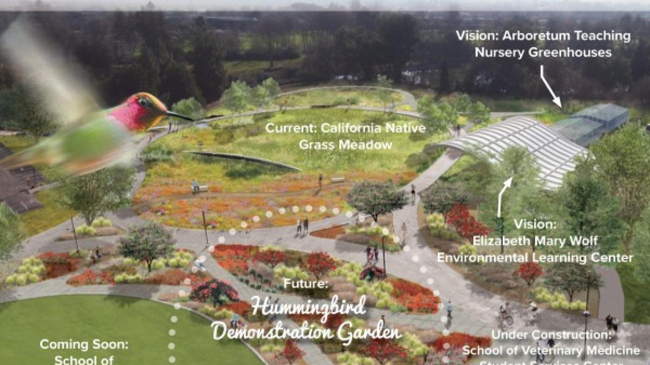 Graphic of hummingbird demonstration garden