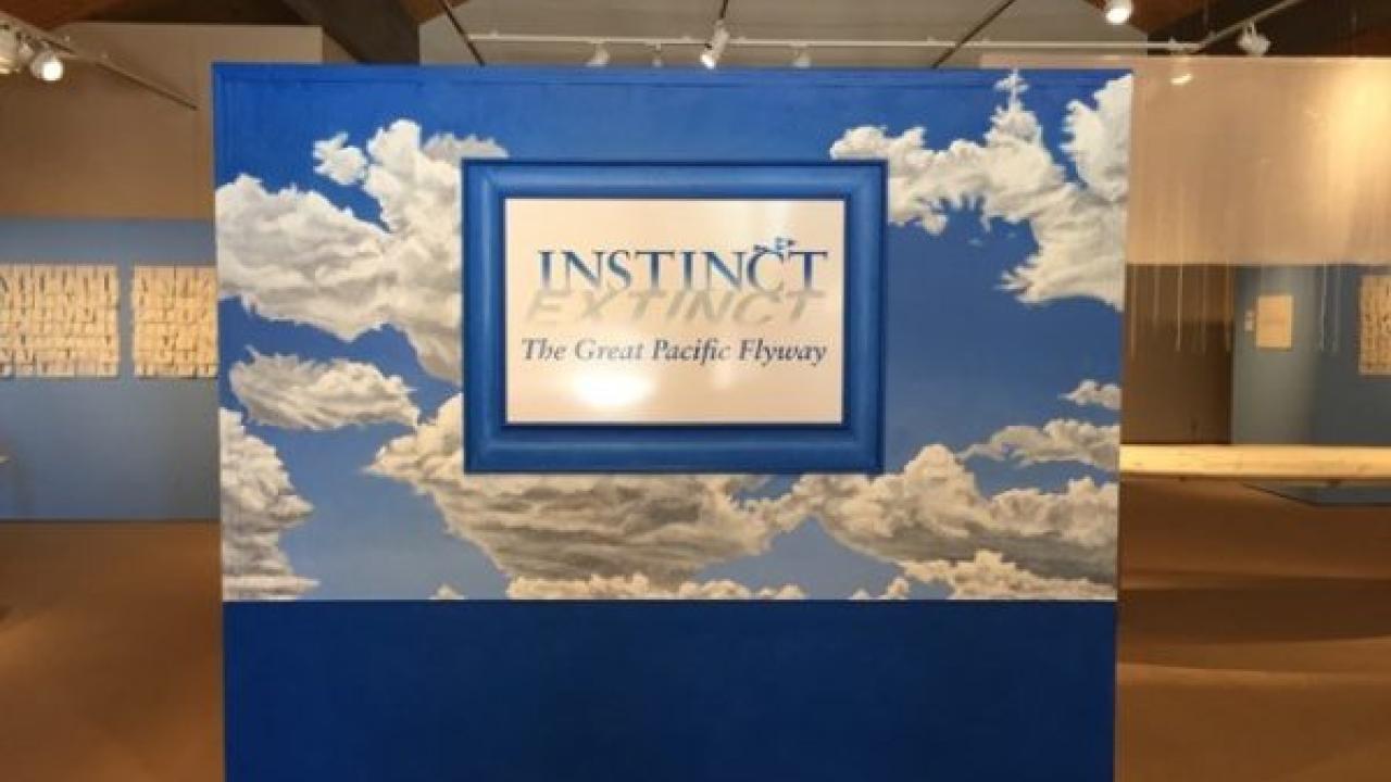 The exhibit “Instinct / Extinct” showcases art and information about the Great Pacific Flyway and will be coming to the UC Davis Design Museum in fall 2017. SNEAK PEEK: Instinct / Extinct exhibit comes to UC Davis fall 2017