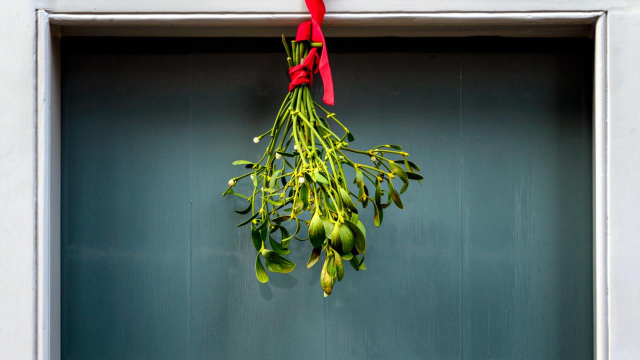A bough of mistletoe hangs by a ribbon over a doorway.