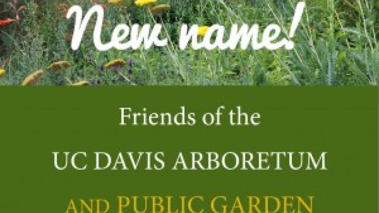 graphic showing new name change