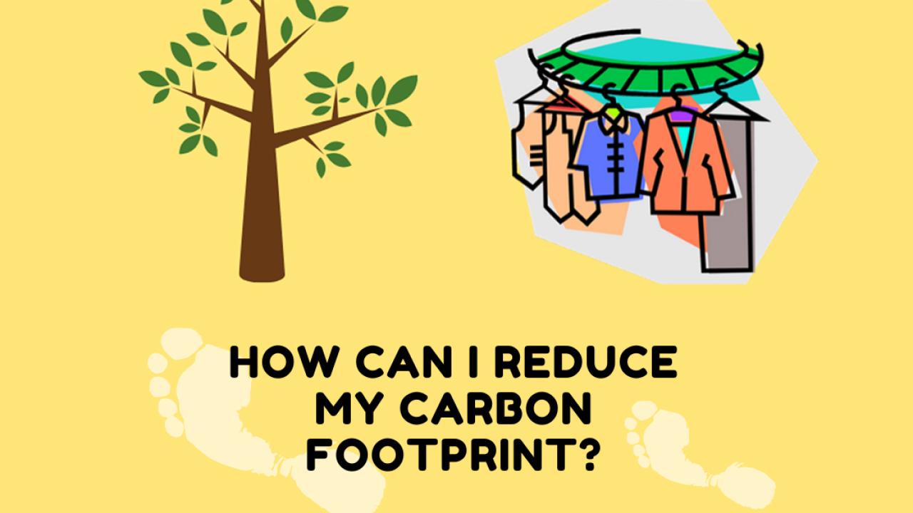 Yellow background with graphic of tree and hanging laundry. 