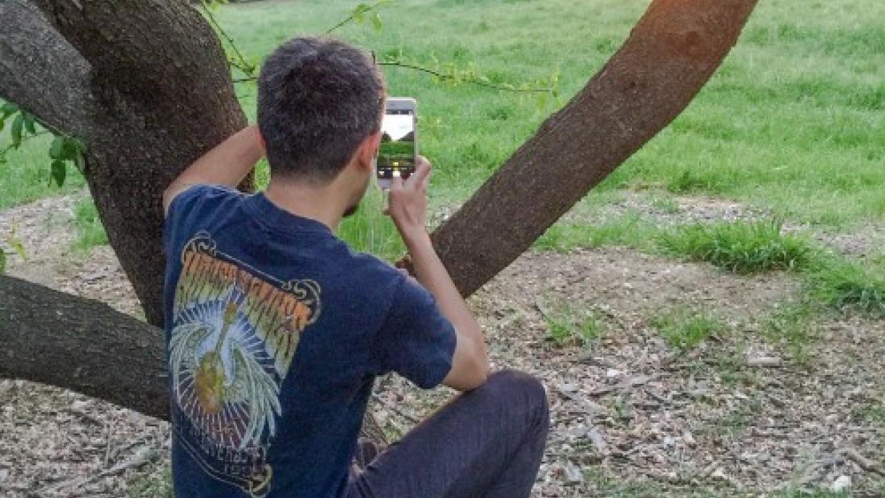 Arboretum photo scavenger