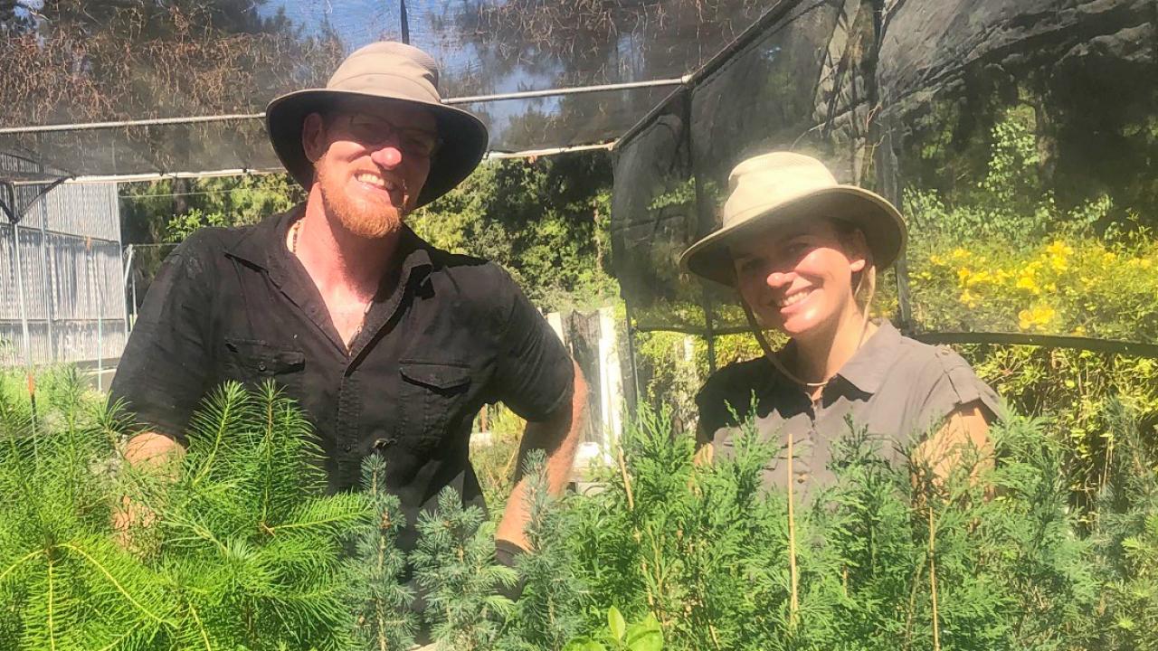 Image of Taylor Lewis, nursery manager and Abbey Hart, special projects manager with the trees they are working to restore to Capitol Park in Sacramento.